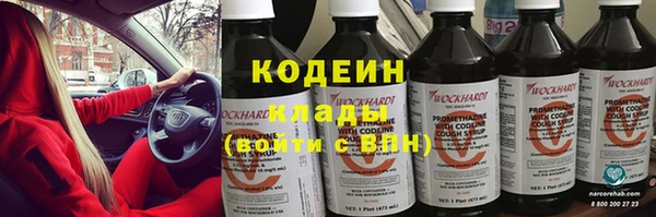 спиды Богданович