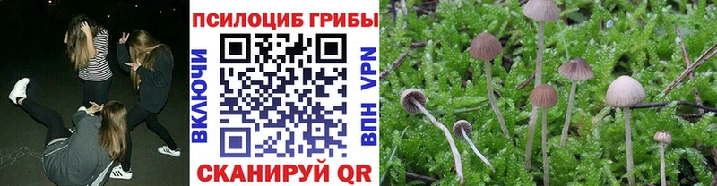 Псилоцибиновые грибы GOLDEN TEACHER  Венёв 